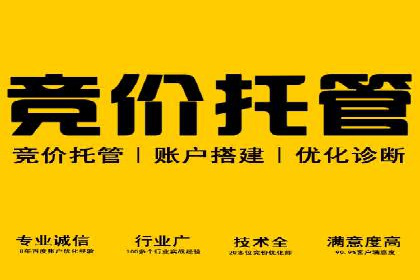 竞价广告的深度解析：以一知名品牌为例